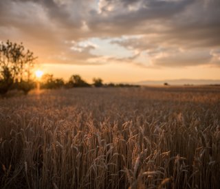 AdobeStock 295920154